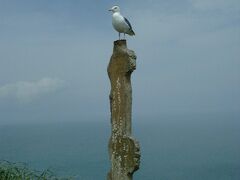 お風呂から上がった後は、霧多布岬に向かいます。鳴り響く汽笛の中、霧に包まれた岬の風景は幻想的です。