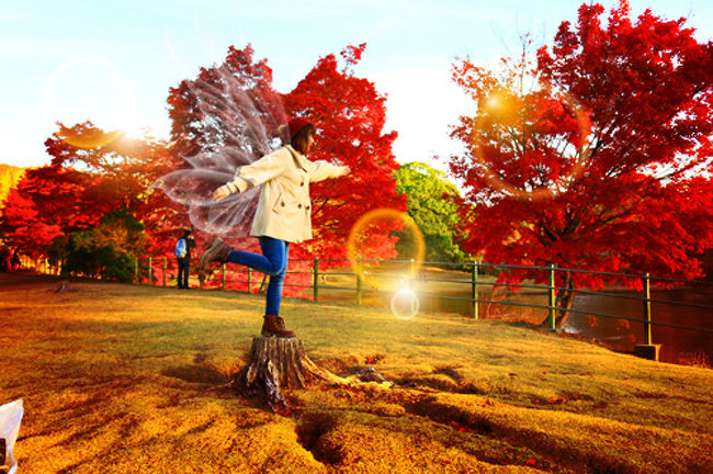 えへっ。(*´ω｀*人)<br />妖精ちっくに…。<br /><br />妖精風の羽根をつけて<br />きらりんっとしてみたっ。<br /><br />画像加工楽しす。<br />けど、やりすぎなので<br />あんましやんないことにする。<br /><br />ニセモノ写真たくさん<br />出来ちゃうしね。