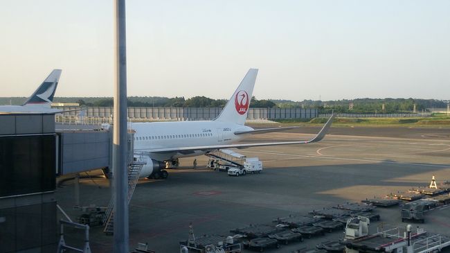 いつもの767