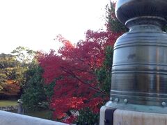 五十鈴川にかかる宇治橋を渡ります。

が、最初の一歩から紅葉の美しさに目を奪われ、なかなか前に進めませんww