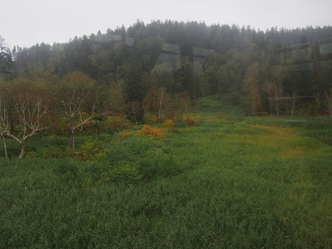 今回はいつもより早い時間の飛行機で旭川空港に到着。<br />そしてレンタカーを借りてまず旭岳に向かいます。<br />大雪山旭岳ロープウェイにのり、少し歩いて〜なんて<br />思ってたのですが、頂上に近づけば近づくほど天気が<br />怪しい・・・というかガスッてる？<br />いやーん！