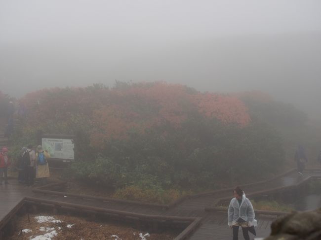 案の定、外に出たらこんな景色。さらに雨なのか霙なのかわからないようなものが降ってきました。いやぁ〜だめだ。こりゃ、退散！