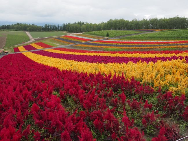 見事ですねえ〜さすがです。