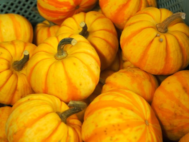 そうそう、売店のところでかぼちゃが売ってました。<br />もうハロウィンに向けて？？<br />まだ１か月以上あるけどな。<br /><br />さて、ホテルに入りますか。<br />今日は外で夕食の予定でしたが、お昼のソーセージが<br />まだお腹に残ってて・・ホテル付近で夜をとることに<br />しました。なので、ホテルにチェックインです。<br /><br />さて、明日はどこにいこうかな〜（＾＾）