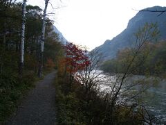 上高地・河童橋〜大正池間の左岸遊歩道
