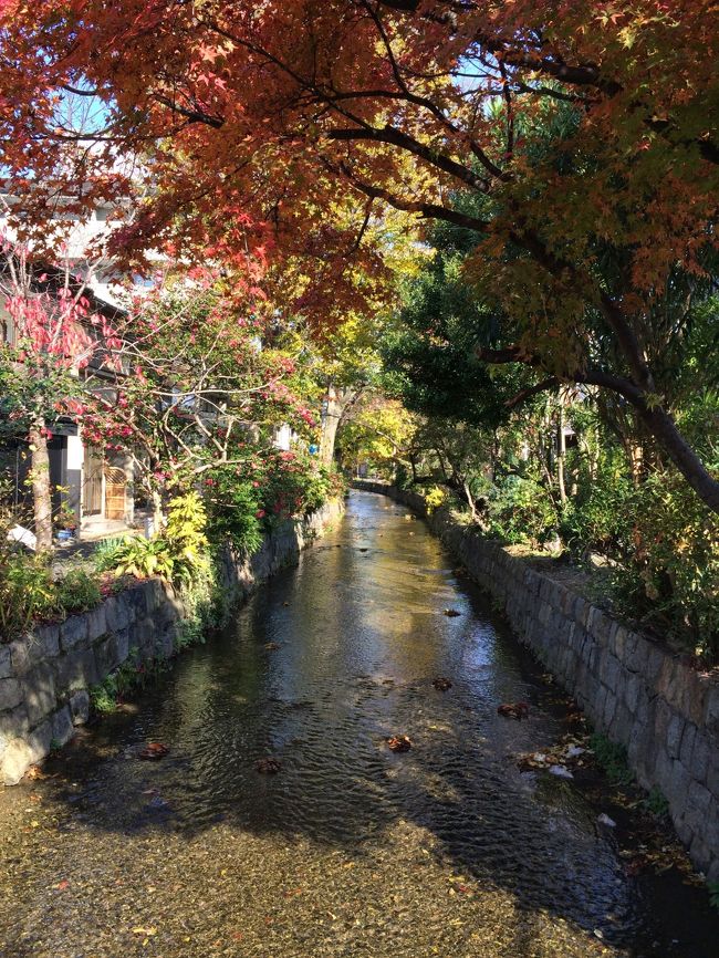 人影まばらで落ち着いています。