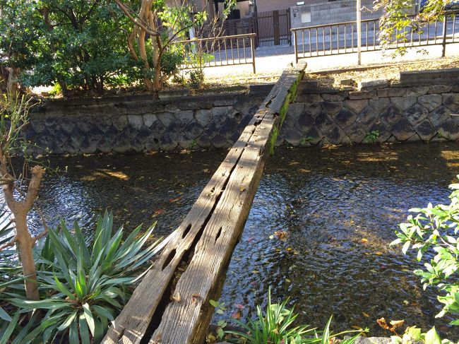 ちょっと怖くてよう渡らんかった。。。