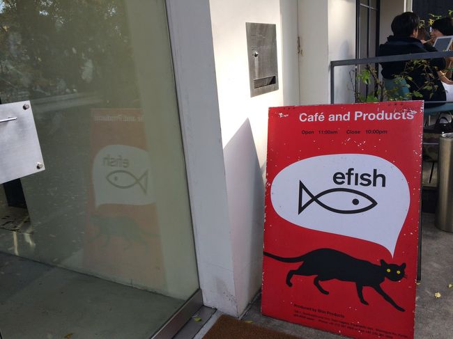 さて、五条と言えば言わずもがなの、かつてのカフェブームの先駆者的な存在、efish。当時も京都にはよく来たけれど、あまりにミーハー過ぎる気がして行ったことがなかったのでした。そんなわけで初めてお茶してみました。ブームで終わらずしっかり町に根付いているようで素敵です。