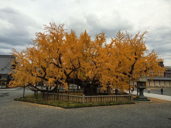 五条一帯から離れて、てくてくてく。西本願寺へ。