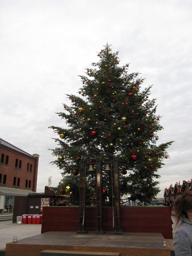 大きなツリー。夜は綺麗だったと友人の弁。