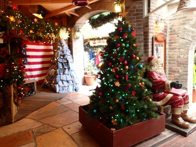 クリスマスの飾りつけが綺麗でしたよ〜