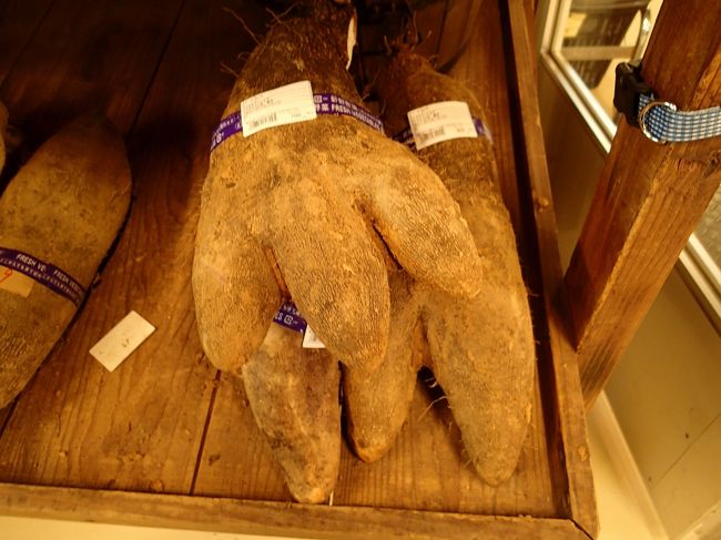 グローブみたい（笑）