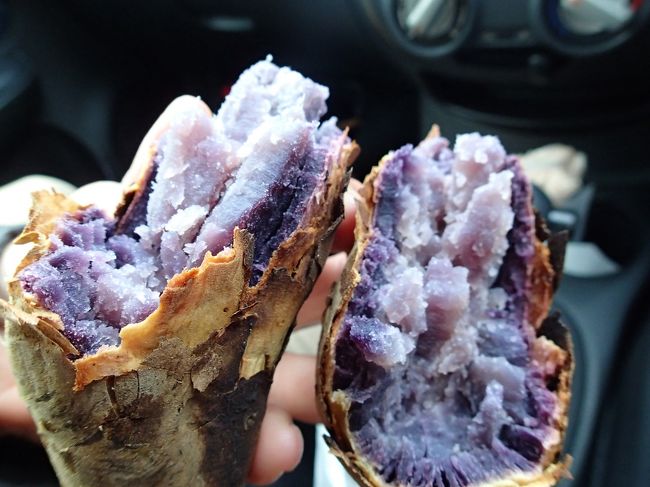 おまけでもらったこれはイマイチでした。