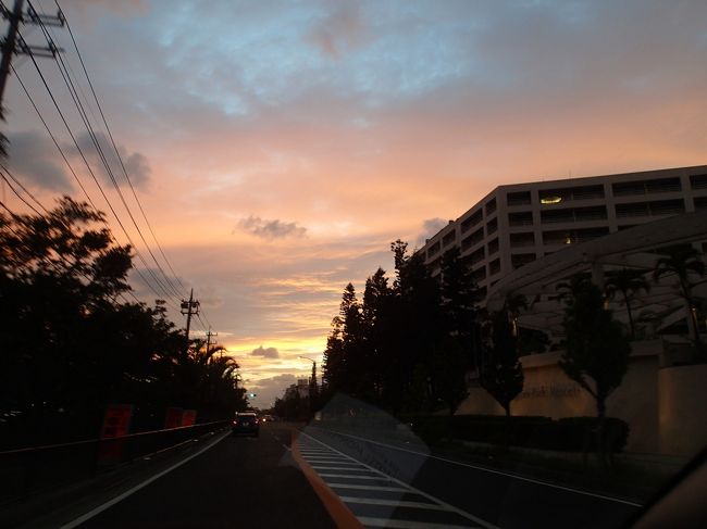 ホテルに帰る途中の夕陽が綺麗でした。