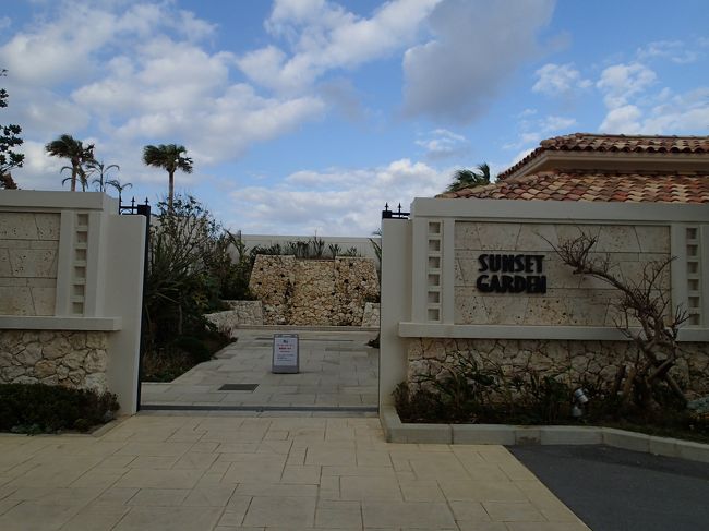 この奥にプールがあるみたいです