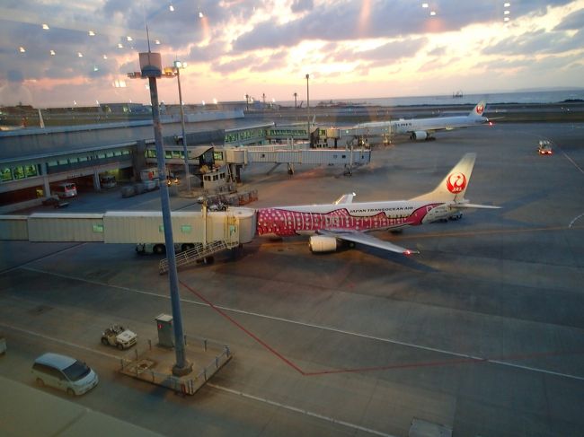 乗るのはJALじゃないですが…^^; <br /><br />今年最後の沖縄は食事とお天気にはあまり恵まれません<br />でしたが^^;のんびりまったりできました(^^)<br />これはこれで良かったかな(^^)<br /><br />旅行記を見て頂いてる皆様、今年もありがとうございました！<br />また来年もいっぱい旅行に行けたらいいなあ〜(^_−)−☆<br /><br /><br />