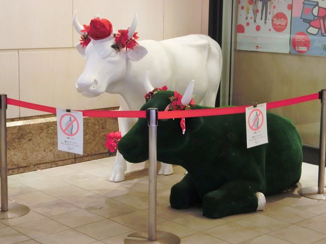 かつてはただのオフィス街でしたが、丸の内の再開発とともにショップ、レストランなどが出店し華やかな街に様変わりしましたね。