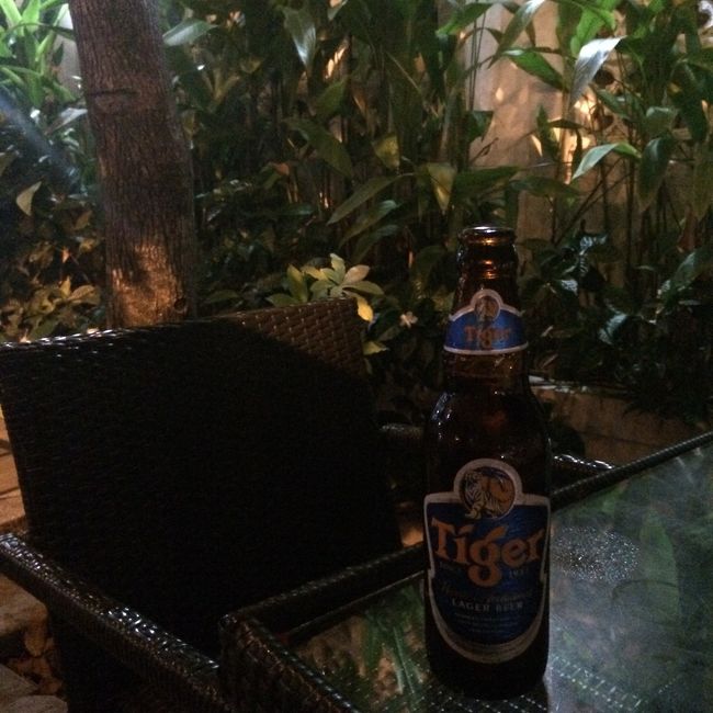 小腹がすいたので橋を渡り切り、軽く飲めるお店へ。<br />リバーサイドにある雰囲気のあるお店で、ビール小瓶2本と鳥の手羽先2ピース、カニのスープで14万ドン（850円くらい）<br /><br />翌日はミーソン遺跡に行くので早めに就寝。<br /><br />〜ミーソン遺跡・五行山編に続く〜<br /><br /><br />