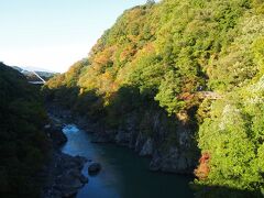 高津戸峡

１１月上旬くらいからが見頃かしら？まだ色づき始めって感じでした