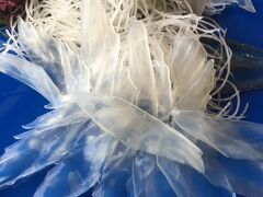 念願のイカ　キター♪───Ｏ（≧∇≦）Ｏ────♪

本当に透き通ってて透明！