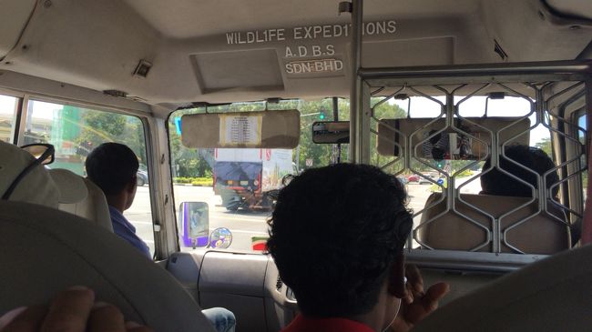 バス内からです。