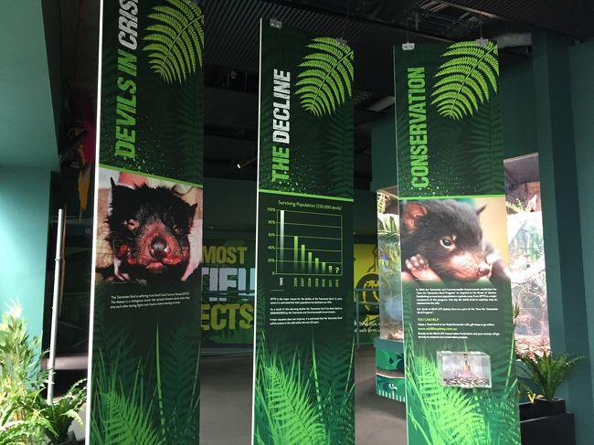 でも。まぁ。日本なら絶対に行かないと思いますが。せっかくの旅なんで。<br />お金のことはここから考えるのやめました！カードの請求怖いわぁ。。<br />