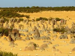 バスで30分ほど南へ走り、ピナクルズ砂漠に到着。出発前に添乗員からハエ対策をと言われていましたが、今日は風が強いせいでハエがほとんど出てこない。良かった！