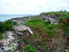 そして、この島にやってくる台風もまた、すごい。