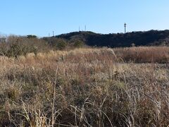 湘南国際村に向かう途中で大楠山を振り返ります。

湘南国際村の開発途中でバブルがはじけて手つかずになった土地