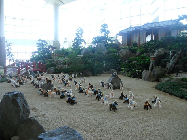 なぜか犬が　なにかのイベントみたいです