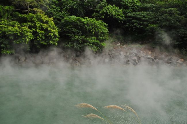 地熱谷です。風向きで湯気にはいれば臭いし熱いです。でもむちゃくちゃじゃないです。
