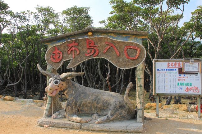 水牛車で由布島へ