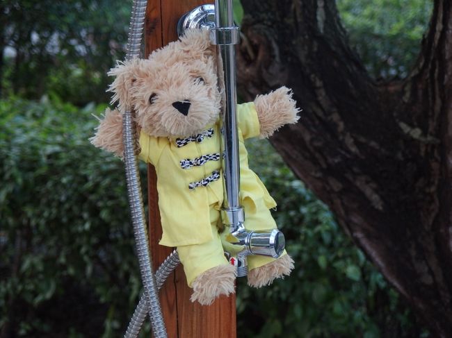 ファーレンちゃんも入りたいらしいけど<br />