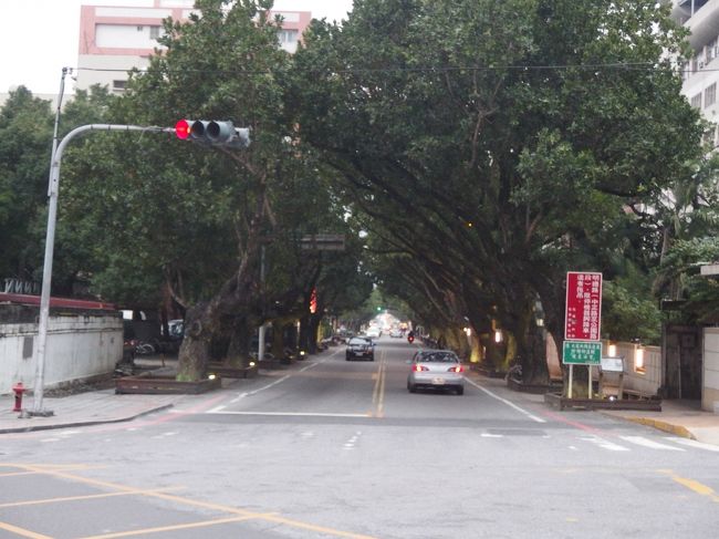 街路樹を繁茂させて<br />緑のトンネル風にする<br />のが台湾の習慣(？)<br />