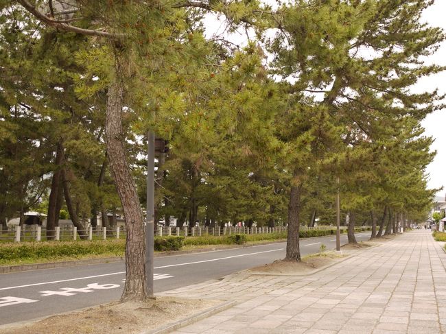 ８：１６法隆寺前でバスを下車<br /><br />道を渡って、松並木を進みます。<br /><br />やっぱり朝一は最高！お天気はあんまり良くないけど静かで雰囲気３割増☆<br />