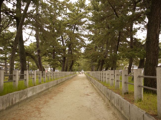 松並木を散歩♪<br /><br />しばらく行くと、、、