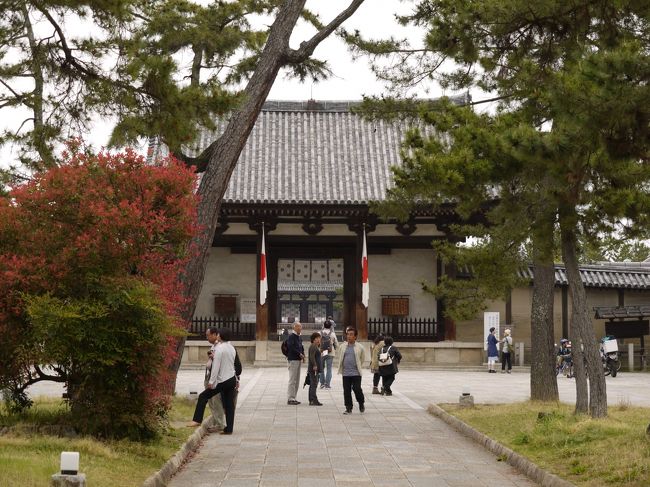 おぉ！！見えてきた！<br /><br />あ、でも思ってたより人多いみたい。<br />なんだ、バスで来る人が少ないだけで車組はもっと早くから来てるんやん。(´ε｀；)<br />さすが世界遺産！