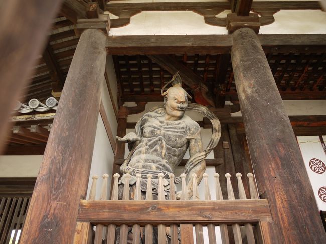 何枚もとっちゃうよね〜ｗｗ<br /><br />あ、この写真、柱のエンタシスがわかりやすい。<br />中央がふっくらとしてるでしょ？<br />これはギリシャの建築によく見られる様式で、法隆寺がシルクロードから伝わった西洋の文化の影響を受けいることを証明する大切なポイントでもある。