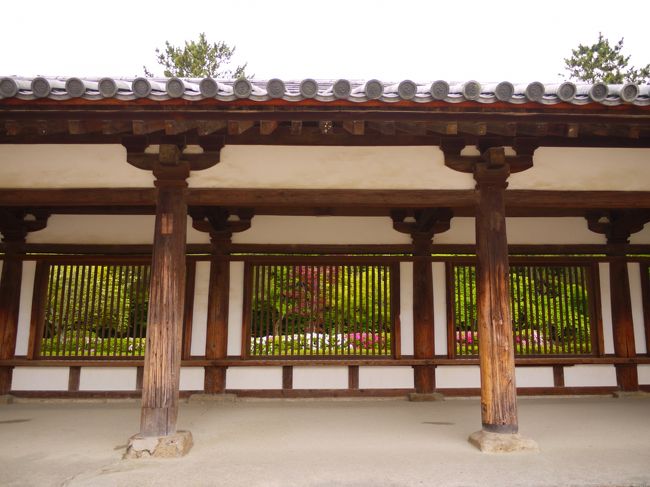 回廊です。<br /><br />金堂や五重塔をぐるっと取り囲んでいます。<br />奈良時代の作でもちろん国宝<br /><br />回廊の大きな窓？から見えるツツジがステキ！