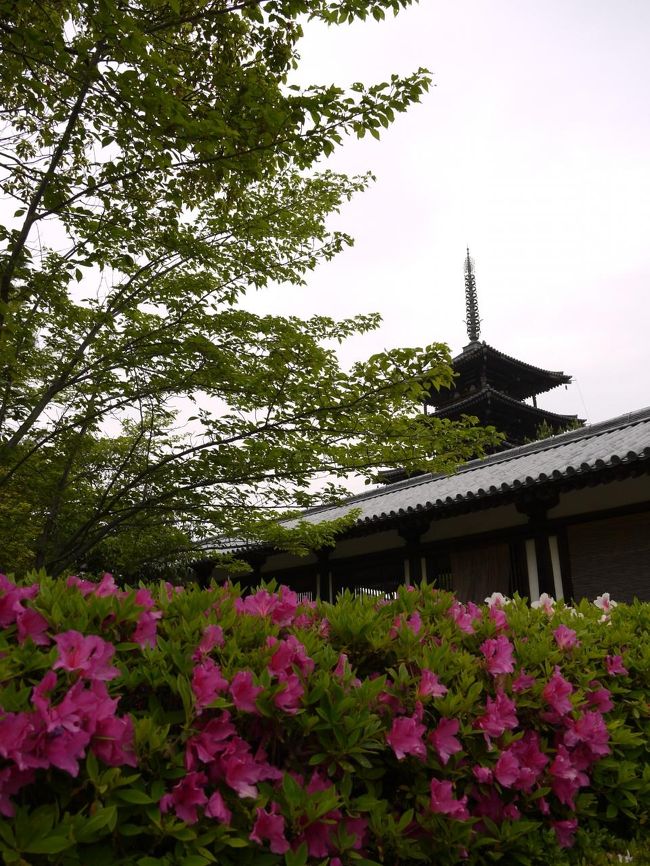 さて回廊を出て、少し西側を見学してから東の方へ行くことにしましょ♪<br /><br />ツツジの垣根がきれい。<br />５分咲ってとこかな。