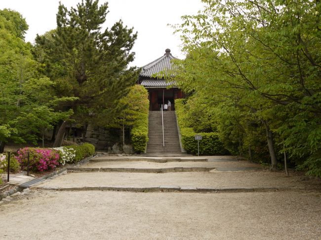 あら、あらあらあら〜<br />なんだかいい感じのところじゃないですか！行ってみましょ〜♪