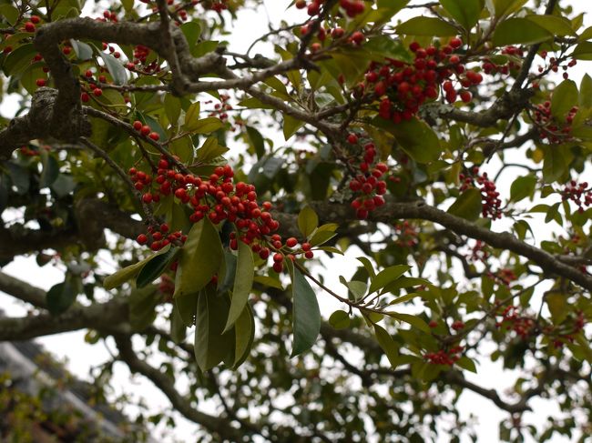 拝観料が必要。５００円也。