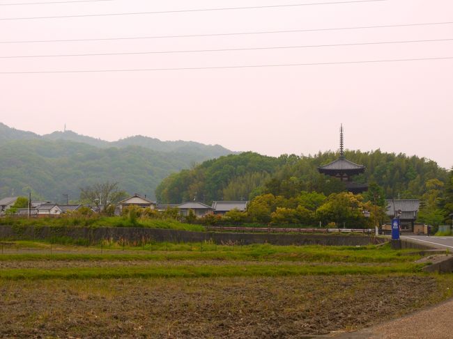 畑やら田んぼのなかにぽつんと現れる三重塔。<br />たまりません。(*´艸｀)