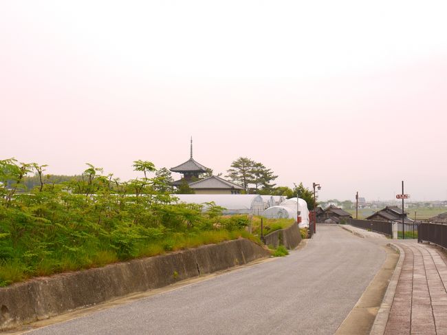 見学中出会ったのは１組だけ。とっても静かな法輪寺でした☆<br /><br />さぁ次は法輪寺を出て左へ！<br />今度はあっちに見えてる三重塔を目指す！<br />あの三重塔は世界遺産、法起寺の三重塔です♪<br /><br />またまたのどかな道をてくてく♪<br />