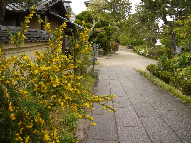 門をくぐって中へ〜<br />黄色いお花が綺麗☆