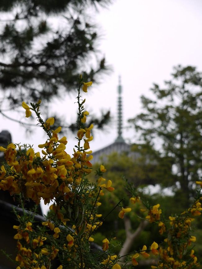 もう一発☆<br /><br />気にいると何枚も撮る悪い癖発揮中ｗ