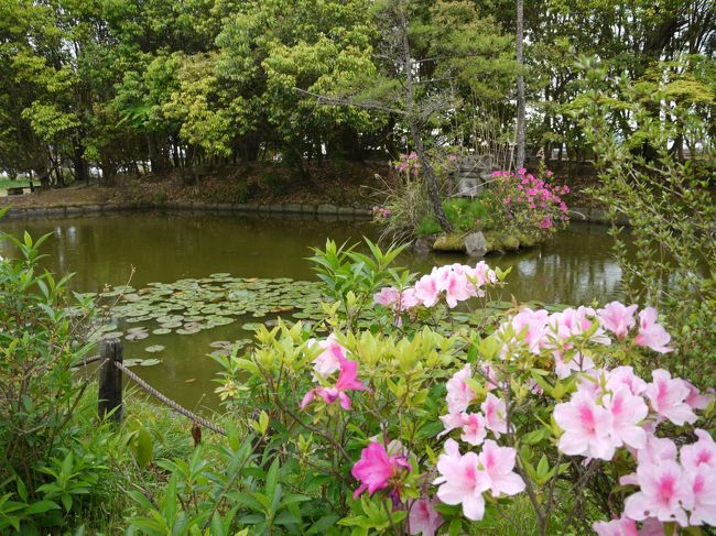 さて、法起寺ですが拝観料はなんと３００円。<br />ほんと控えめです。。。<br />世界遺産て維持とか大変なんだし、もう少しとってもいいと思うんやけど。<br />誰も怒らないと思うよ？<br />だけどそんな腰の低さが好きｗ<br /><br />境内には小さな池が。<br /><br />法起寺は法隆寺東院の北東方の山裾の岡本地区に位置します。<br />この地は聖徳太子が法華経を講じた「岡本宮」の跡地と言われ、太子の遺言により子息の山背大兄王が岡本宮を寺に改めたのが法起寺の始まりと伝えられているそうです。
