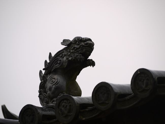 かとおもいきやこの子は・・・ｗ<br /><br />ゆるい。。。<br />ゆるい時間が流れるお寺ですｗ