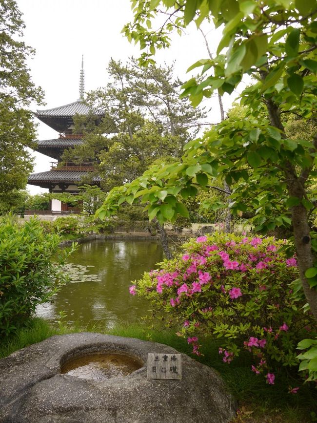 お庭の池から三重塔を☆<br /><br />好きなんやけどな〜<br />いいところなんだけどなぁ〜<br />法隆寺だけ見て帰る人が多いみたい。もったいない。<br /><br />受付にいたおじさんたちも気さくでいい人ばっかりやったし、<br />法隆寺はそりゃあ見ごたえあるけどこの斑鳩ののどかさを感じるなら断然法起寺と法輪寺おすすめ！！<br />