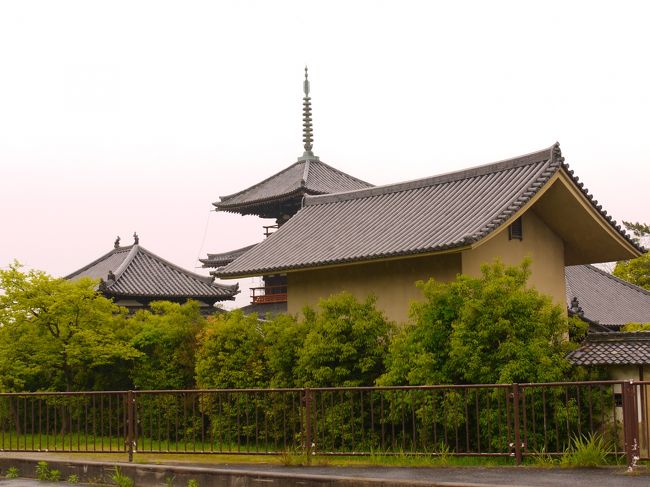 ちなみに、法起寺の南側は畑が広がって秋にはコスモスがたくさん植えられるそうですよ〜<br />コスモスの時期はたくさんの人で賑わうらしいね。